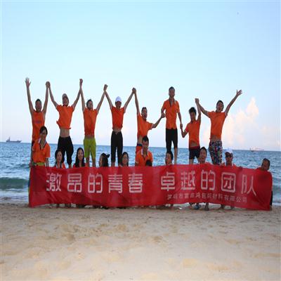 企業(yè)風(fēng)采團隊展示